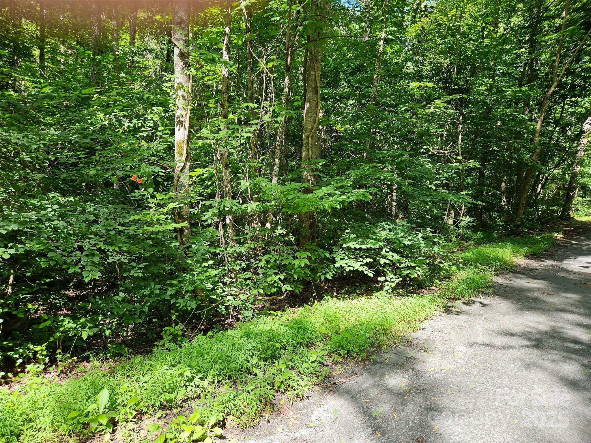0 Sandpiper Avenue Lake Lure NC 28746