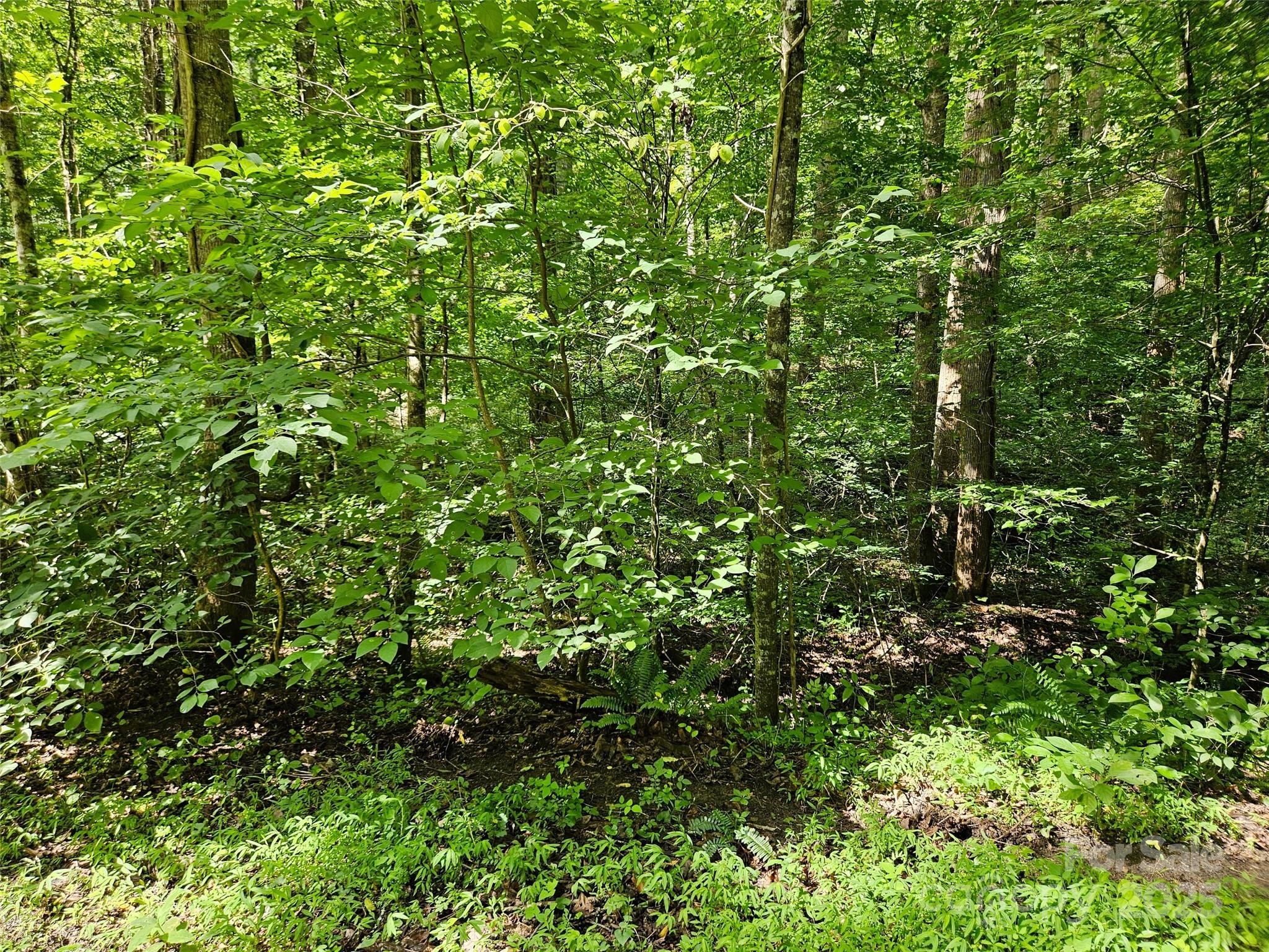 0 Sandpiper Avenue Lake Lure NC 28746