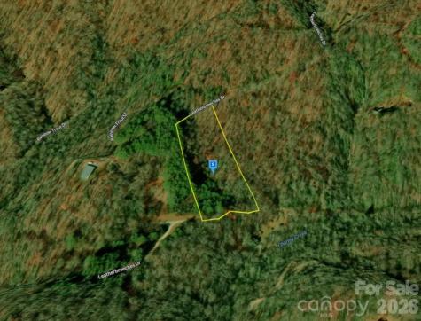 51 Bear Track Drive Tuckasegee NC 28783