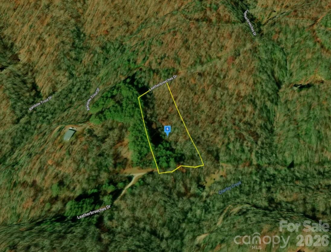 51 Bear Track Drive Tuckasegee NC 28783