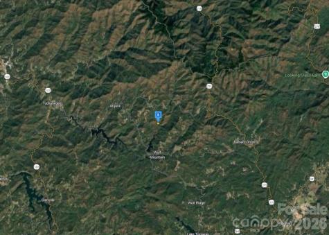 51 Bear Track Drive Tuckasegee NC 28783