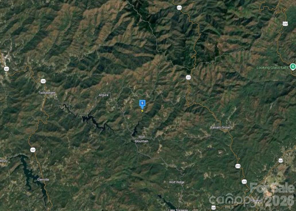 51 Bear Track Drive Tuckasegee NC 28783