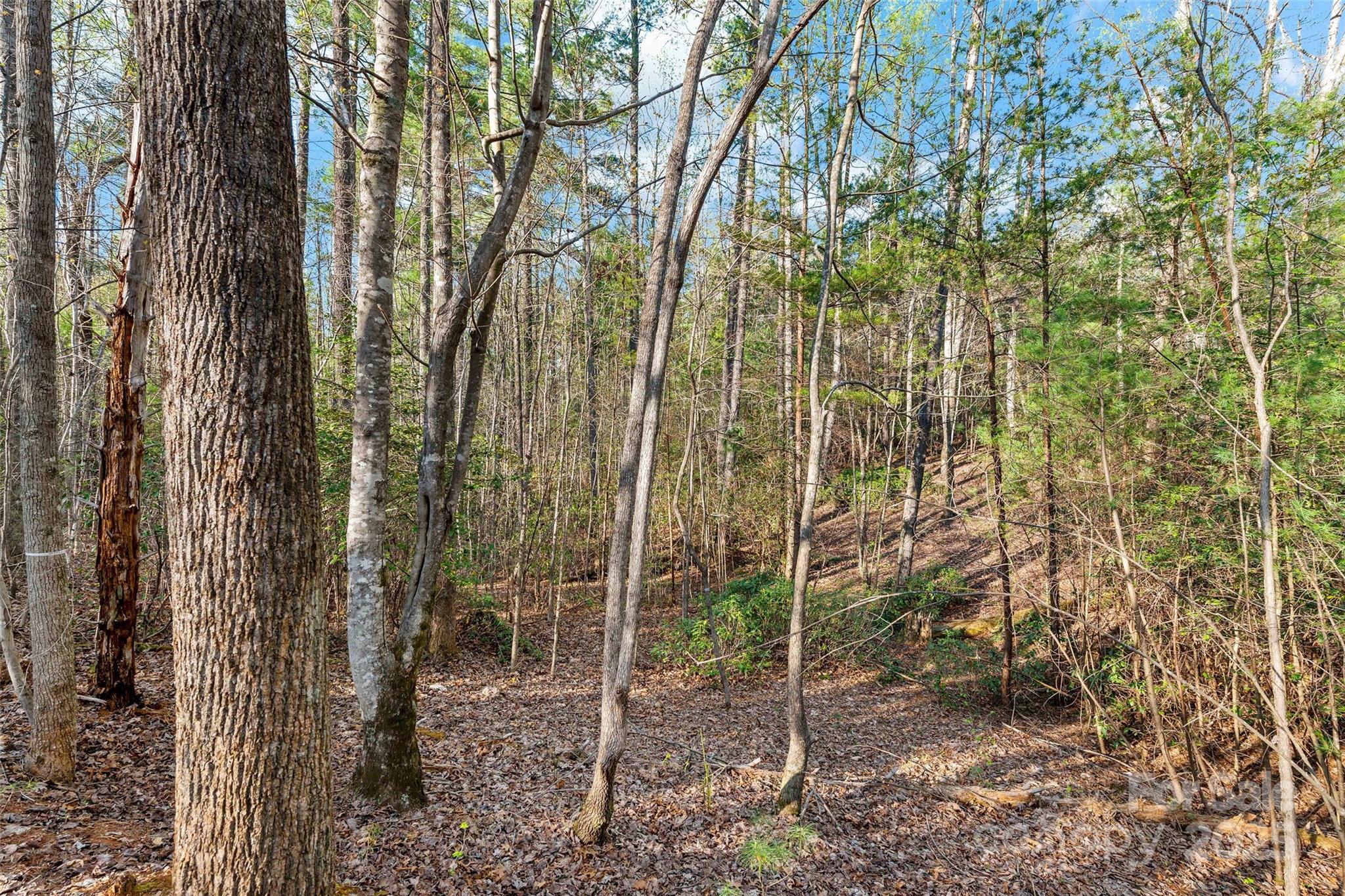 342 Waters Edge Drive Nebo NC 28761