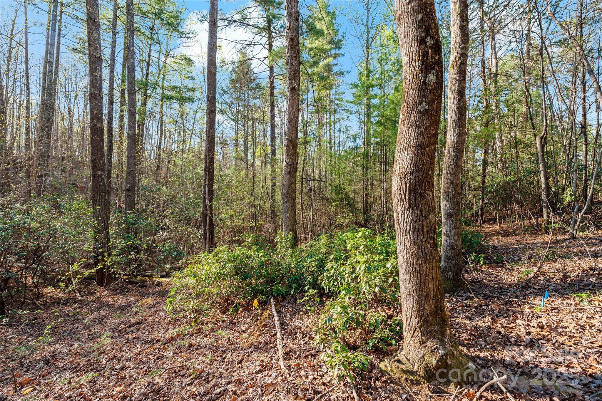 342 Waters Edge Drive Nebo NC 28761