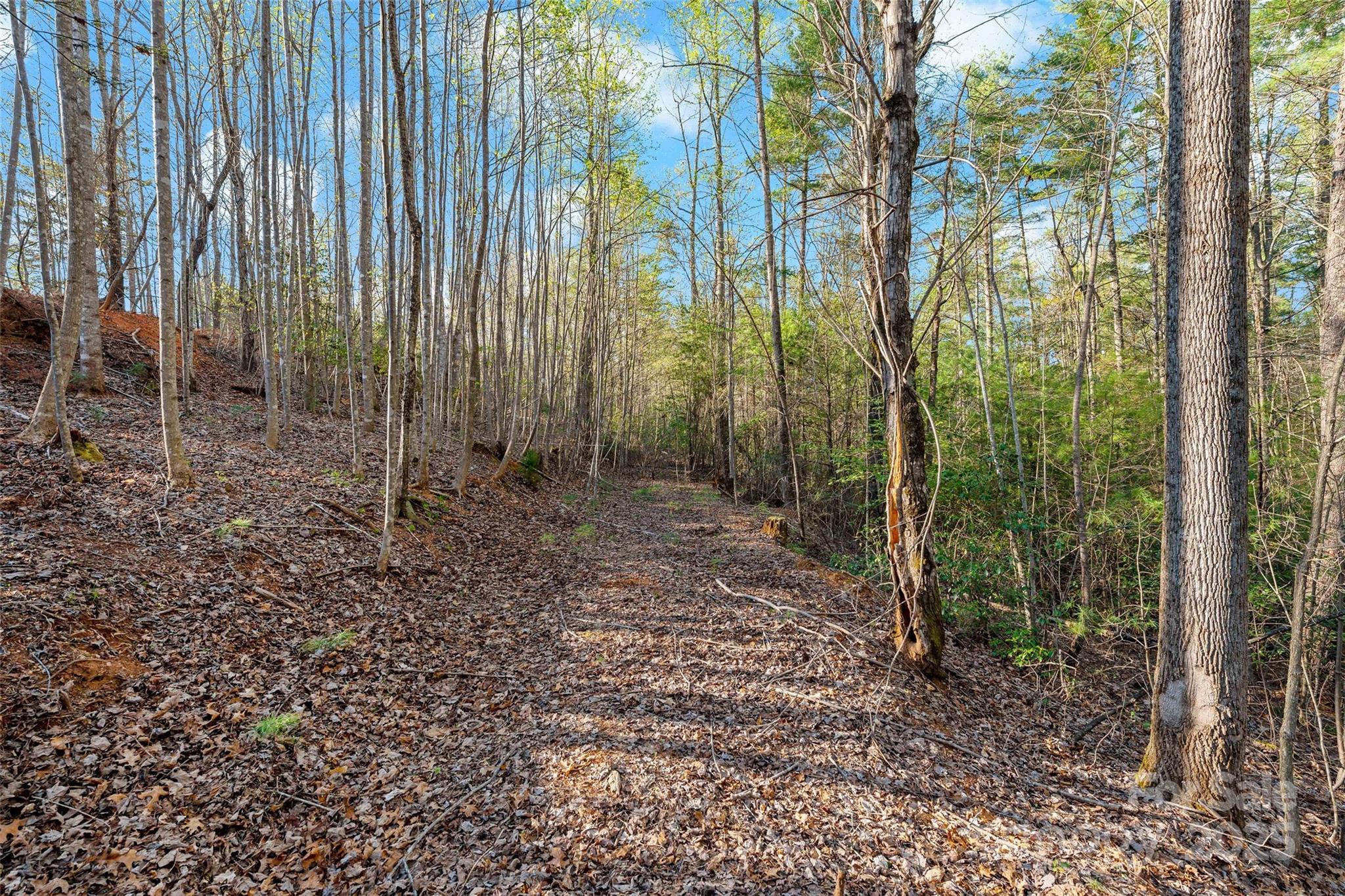 342 Waters Edge Drive Nebo NC 28761