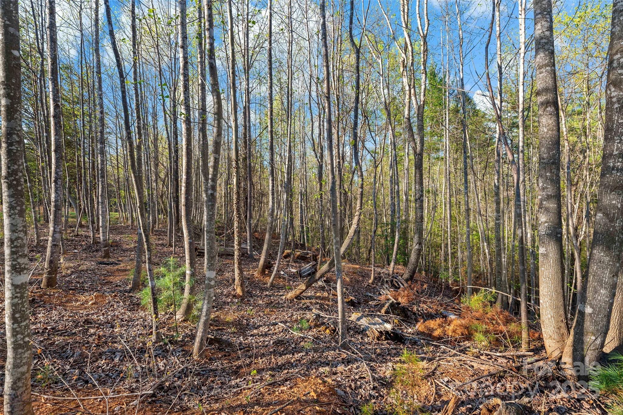 342 Waters Edge Drive Nebo NC 28761