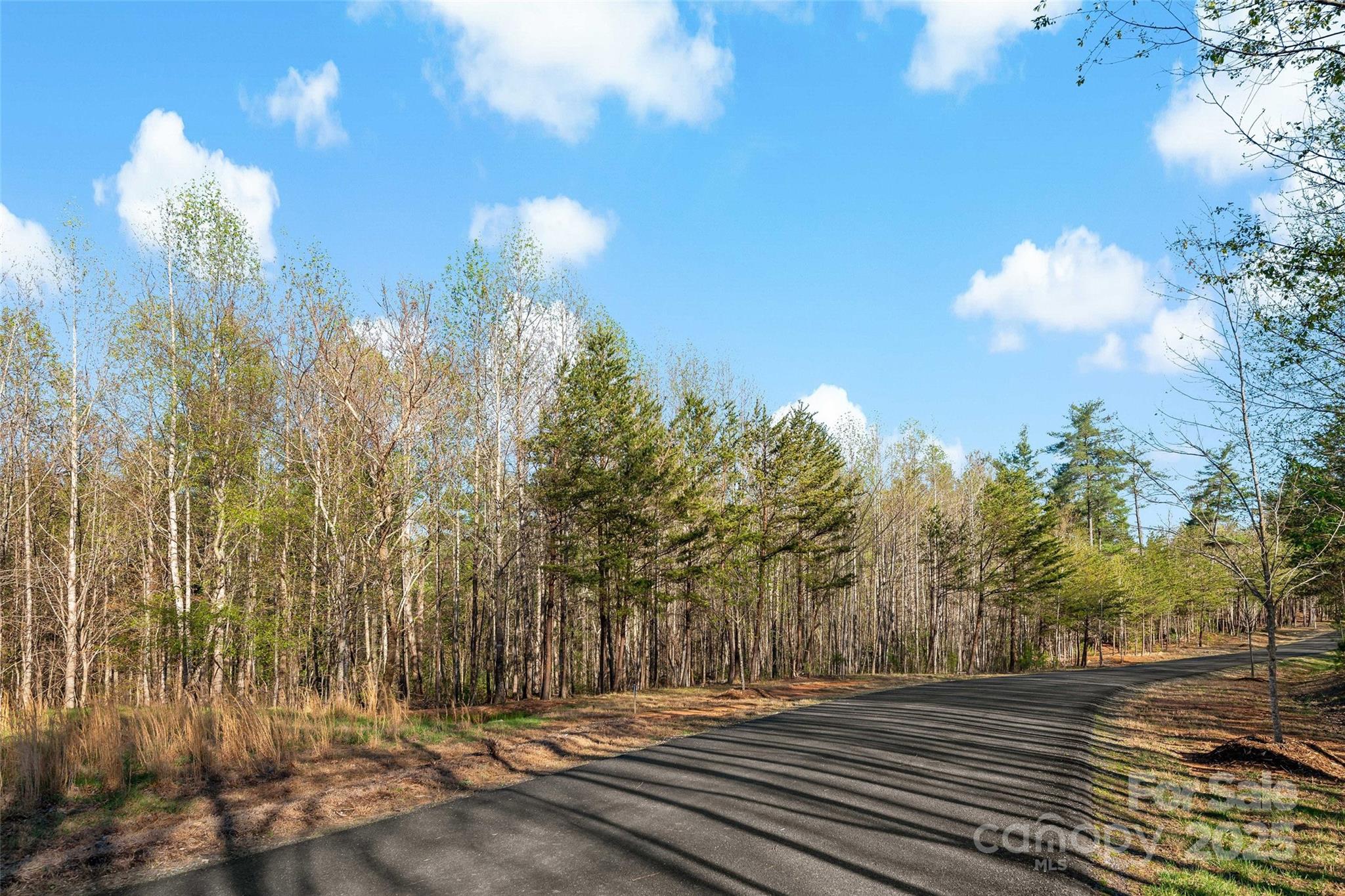 342 Waters Edge Drive Nebo NC 28761