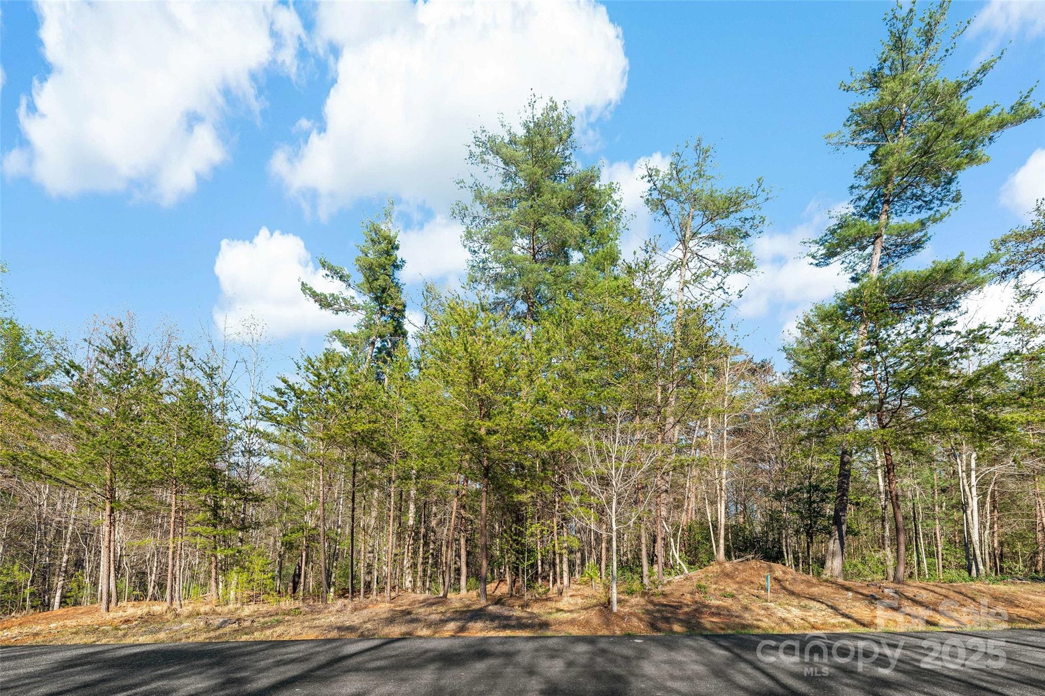 342 Waters Edge Drive Nebo NC 28761