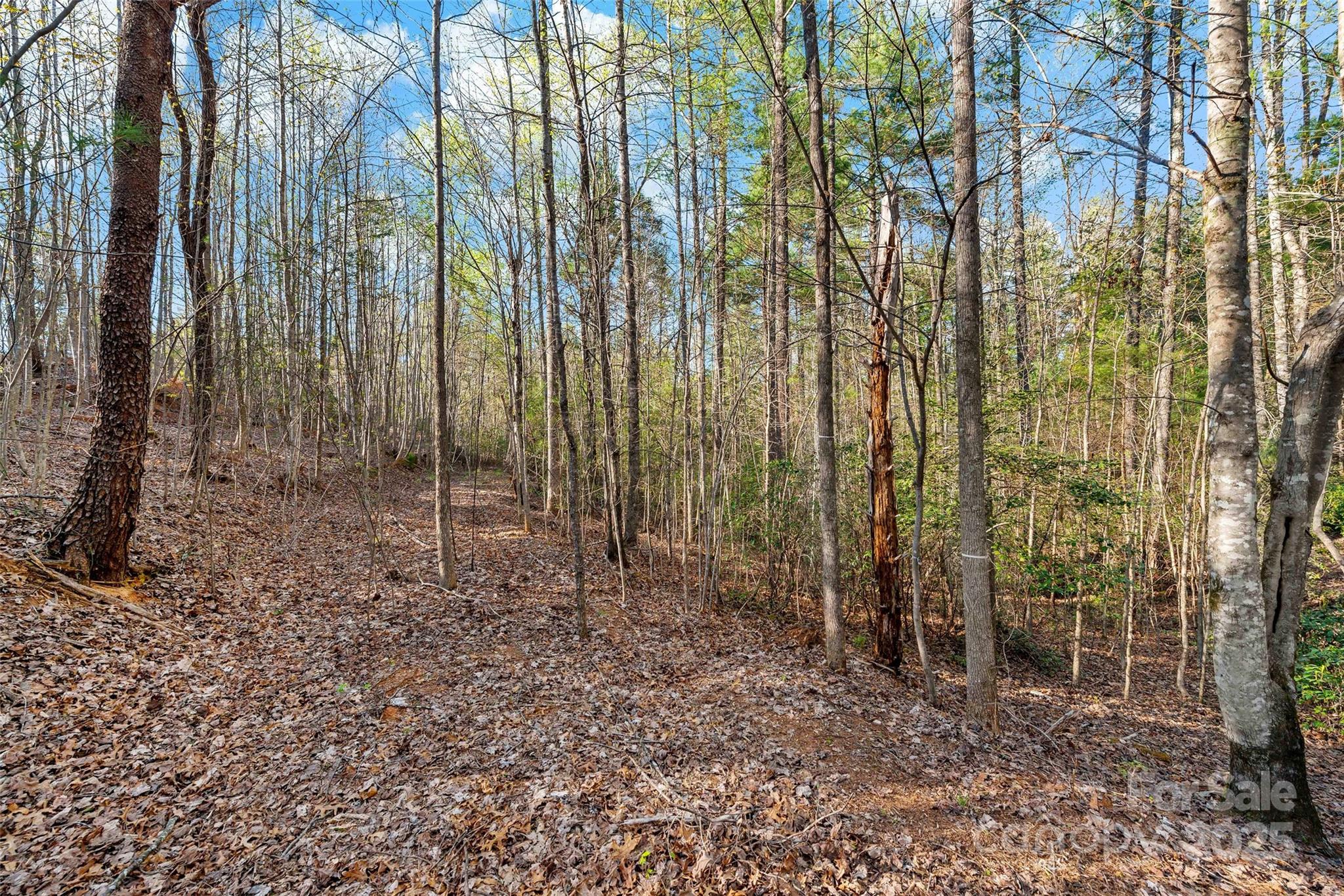 342 Waters Edge Drive Nebo NC 28761
