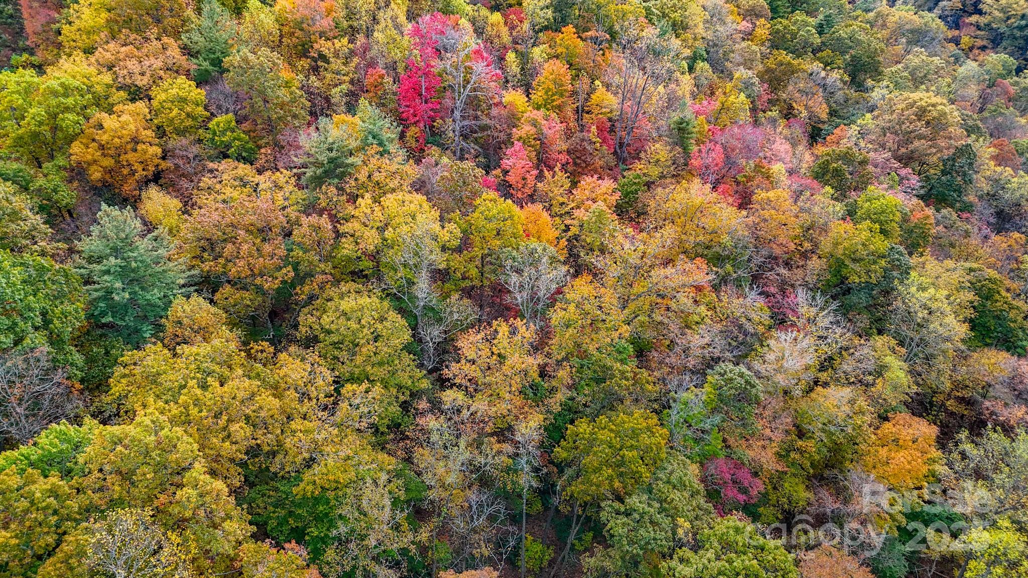 00 Roca Vista Drive Lenoir NC 28645