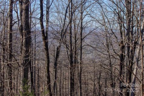 2216 Nighthawk Ridge Court Lenoir NC 28645