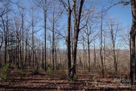 2216 Nighthawk Ridge Court Lenoir NC 28645