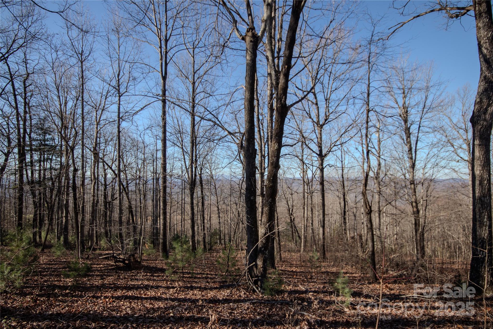2216 Nighthawk Ridge Court Lenoir NC 28645