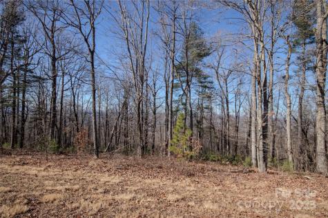 2216 Nighthawk Ridge Court Lenoir NC 28645