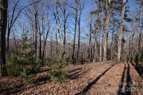 2216 Nighthawk Ridge Court Lenoir NC 28645