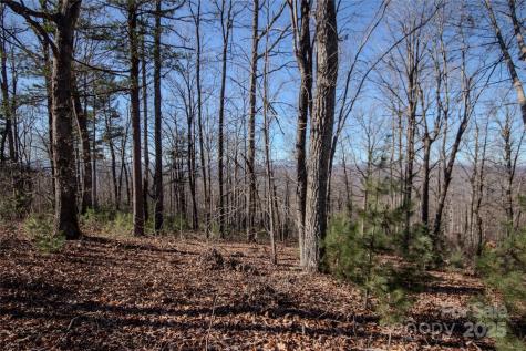 2216 Nighthawk Ridge Court Lenoir NC 28645