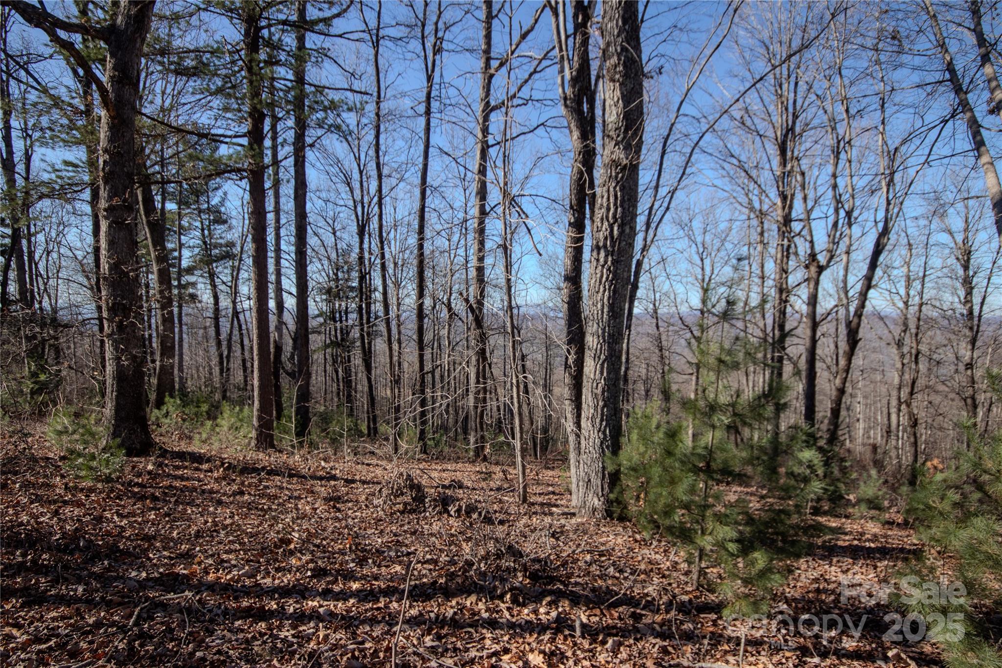 2216 Nighthawk Ridge Court Lenoir NC 28645