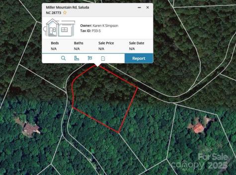 0000 Tbd Miller Mountain Road Saluda NC 28773