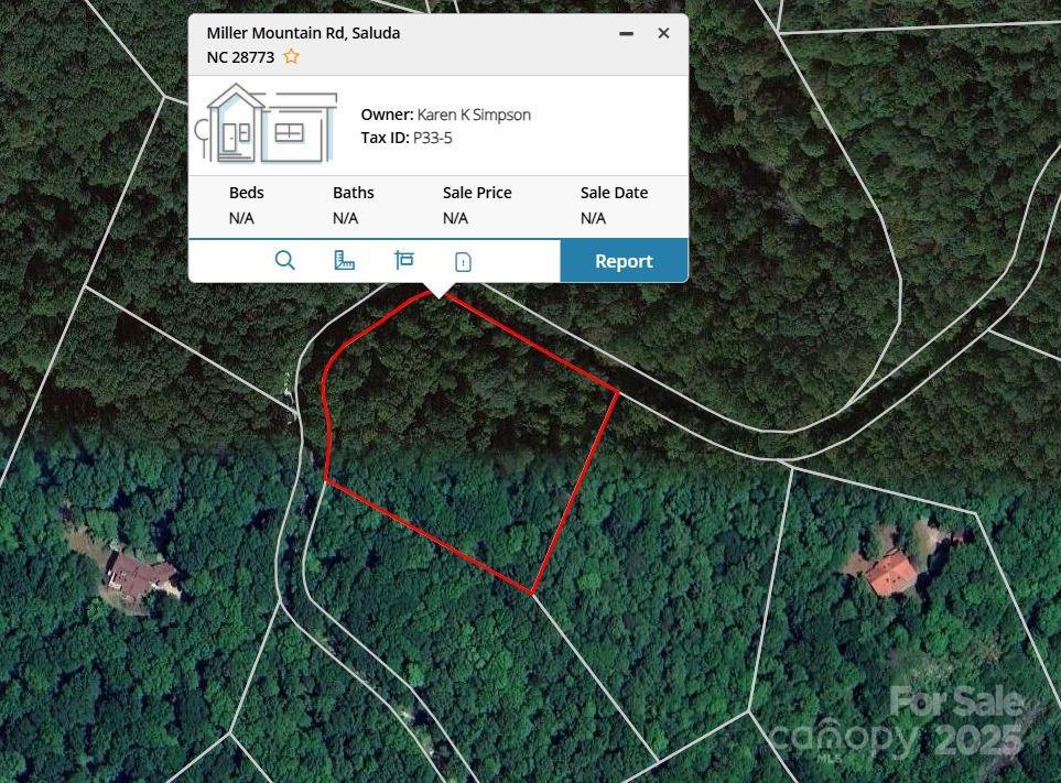 0000 Tbd Miller Mountain Road Saluda NC 28773