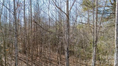 000 Eagles Nest Drive Marion NC 28752