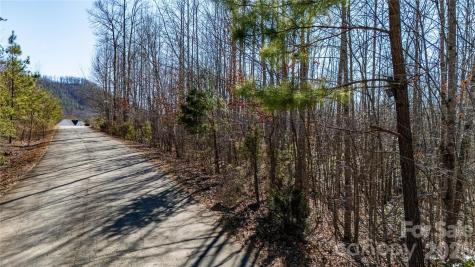 000 Eagles Nest Drive Marion NC 28752