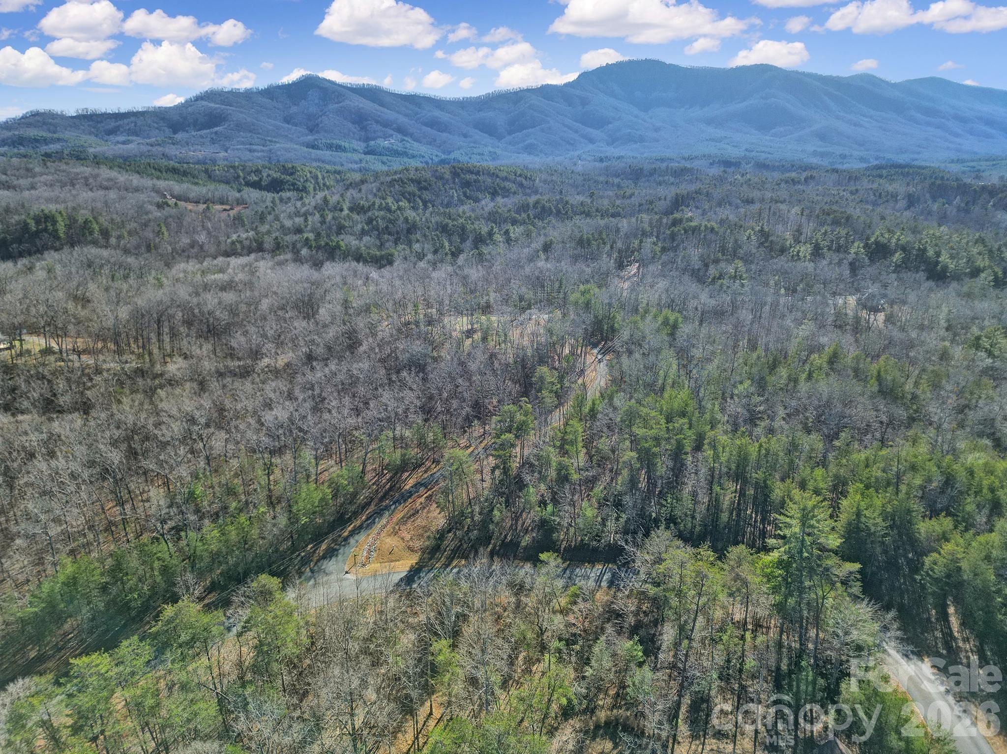 Lot 19 Ostin Creek Trail Mill Spring NC 28756