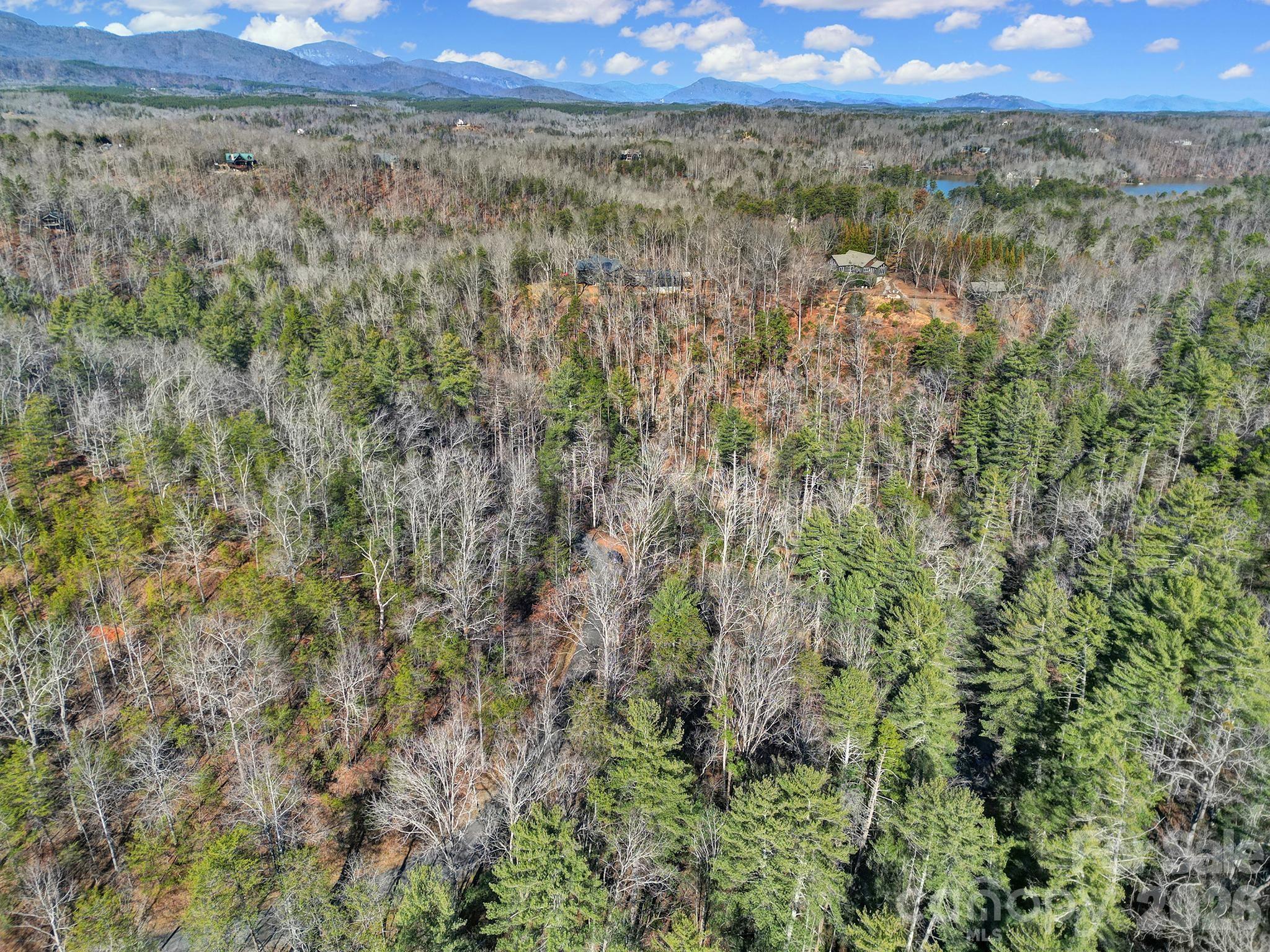 Lot 19 Ostin Creek Trail Mill Spring NC 28756