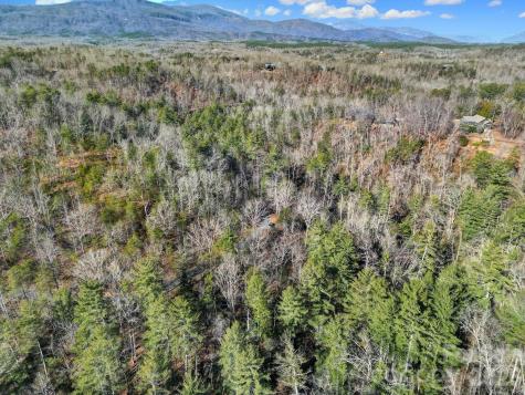 Lot 19 Ostin Creek Trail Mill Spring NC 28756