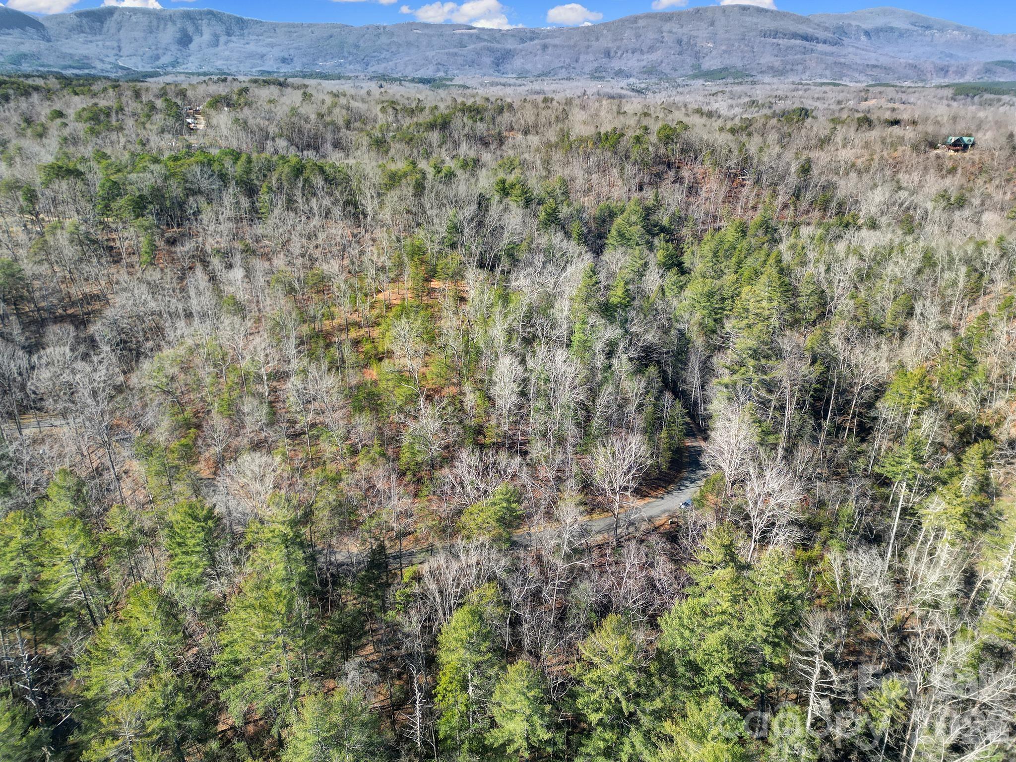 Lot 19 Ostin Creek Trail Mill Spring NC 28756