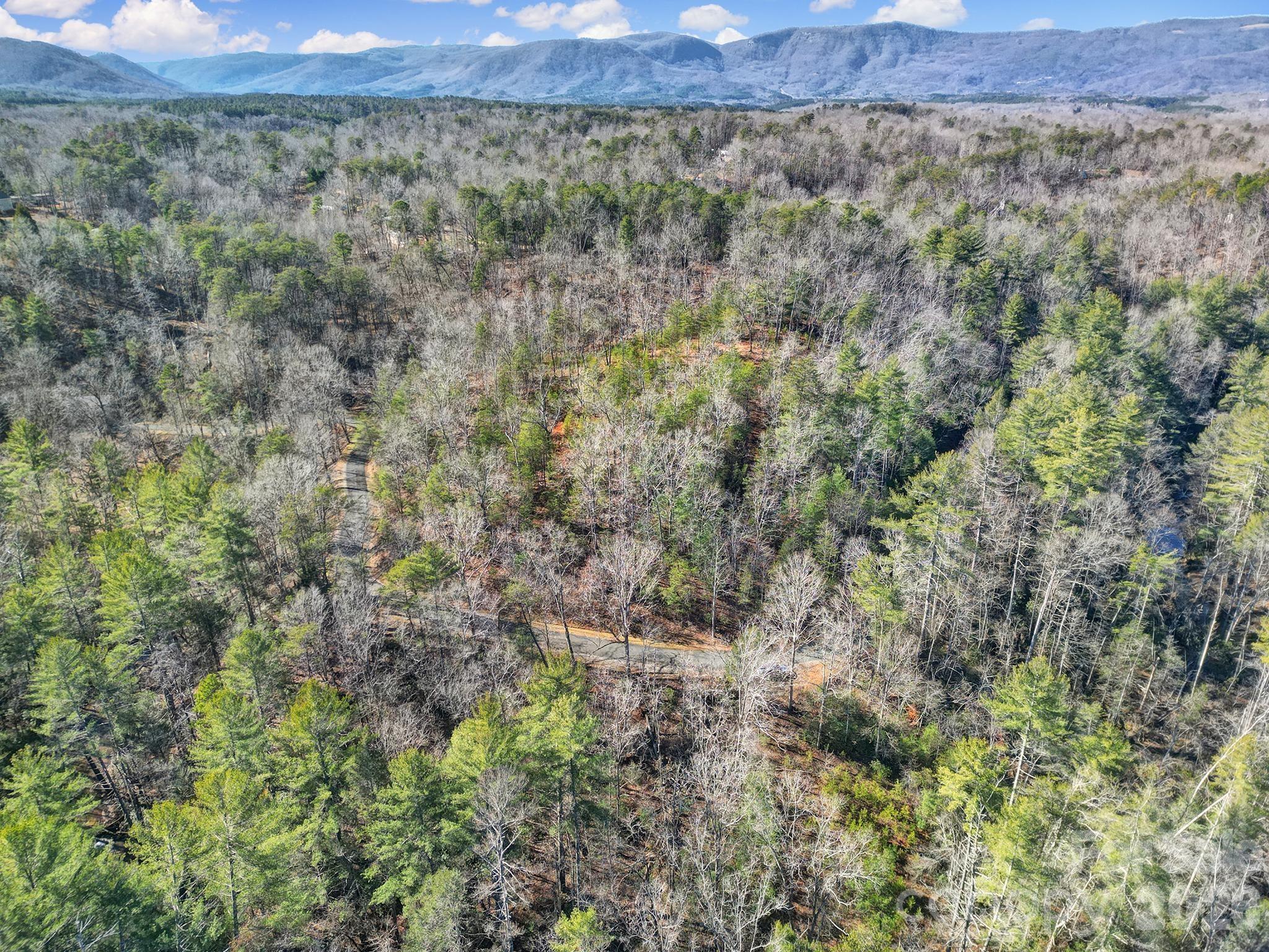 Lot 19 Ostin Creek Trail Mill Spring NC 28756