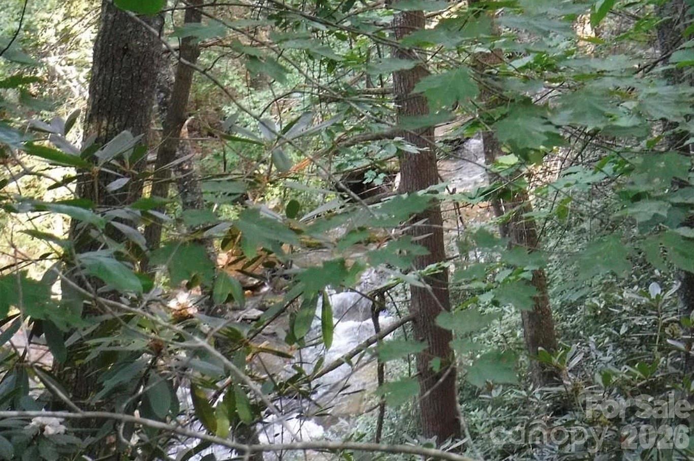 Lot 19 Ostin Creek Trail Mill Spring NC 28756