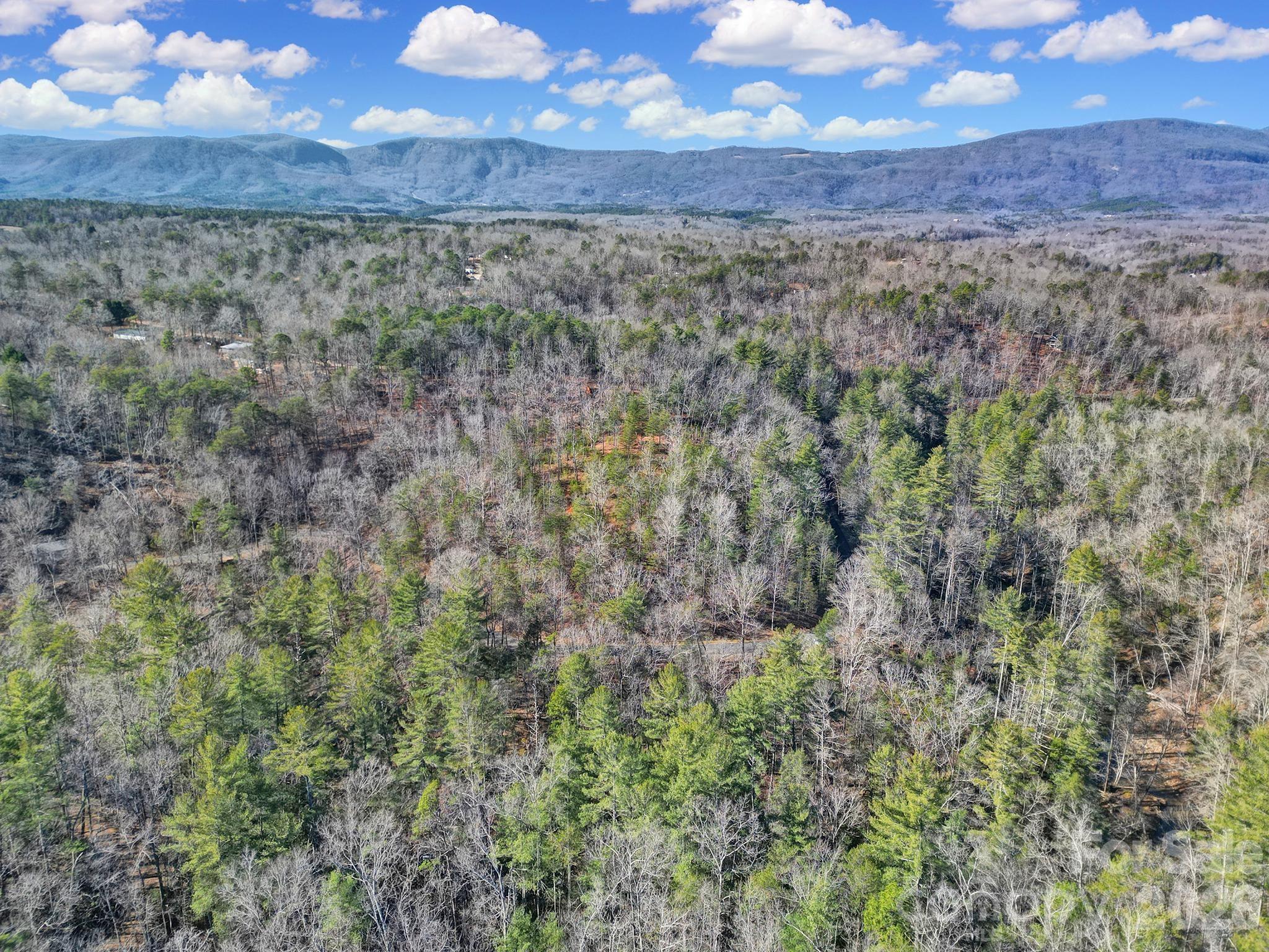 Lot 19 Ostin Creek Trail Mill Spring NC 28756