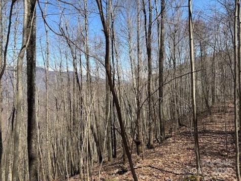 140 Boar Ridge Road Sylva NC 28779