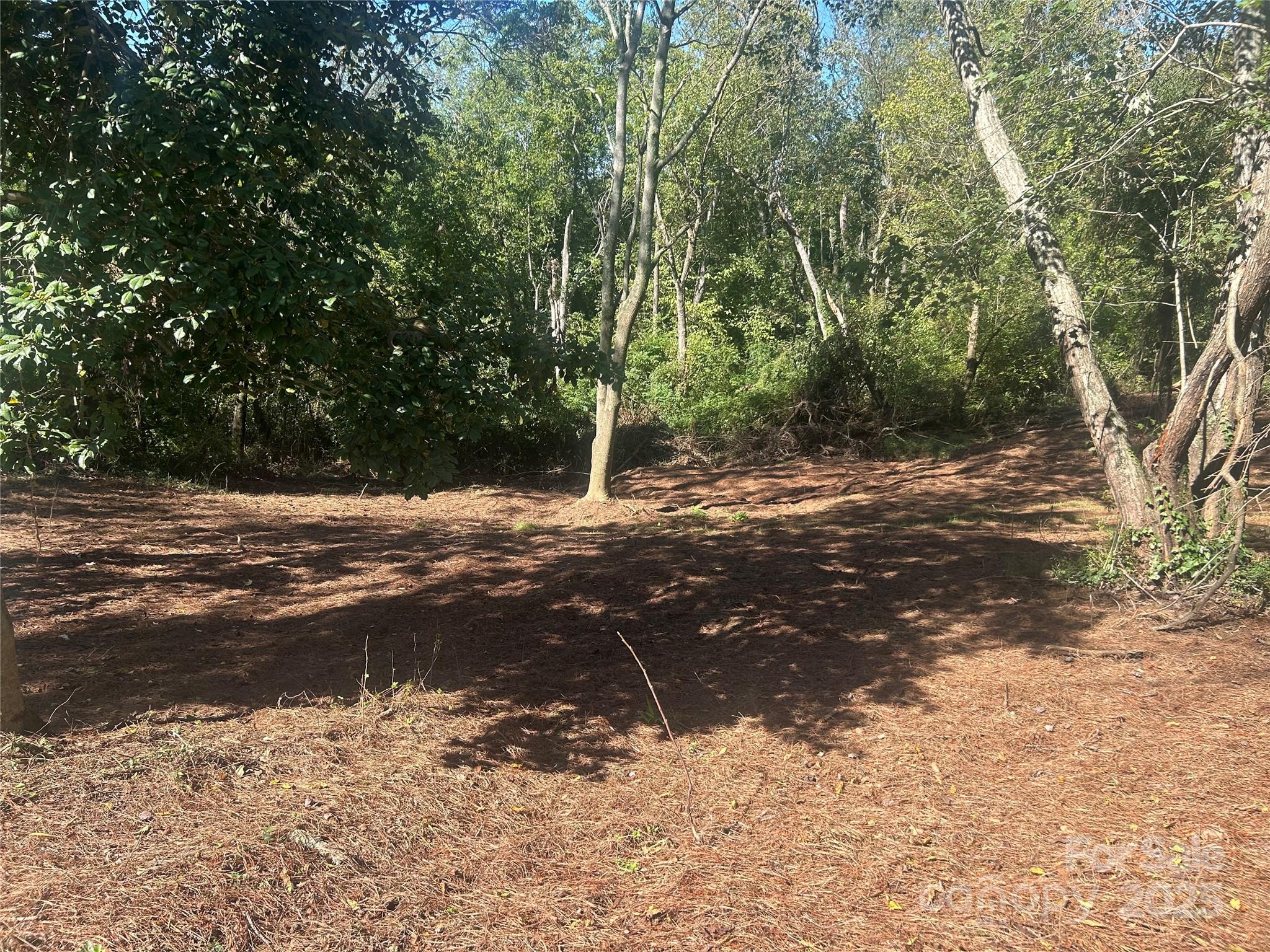 1 View Street Woodfin NC 28804