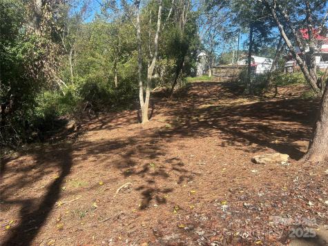 1 View Street Woodfin NC 28804