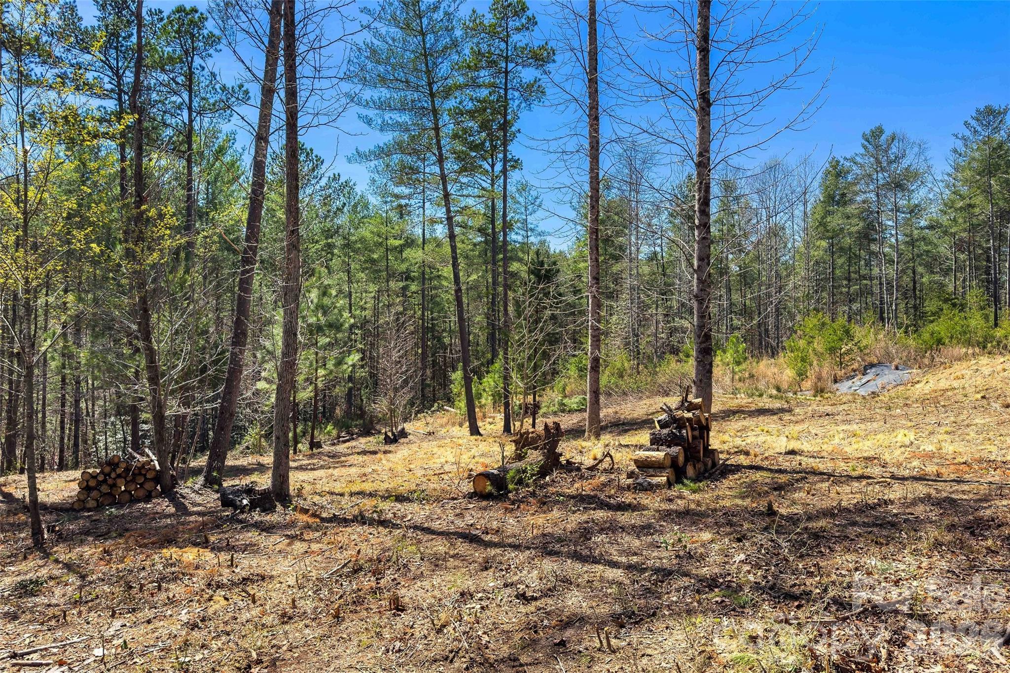 3107 Channel View Cove Morganton NC 28655