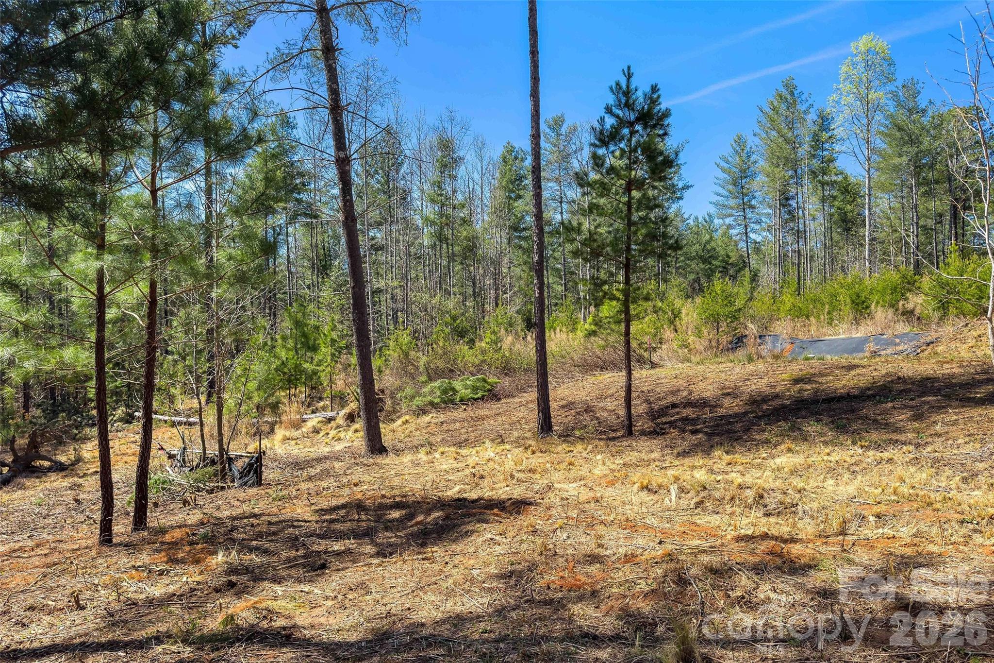 3107 Channel View Cove Morganton NC 28655