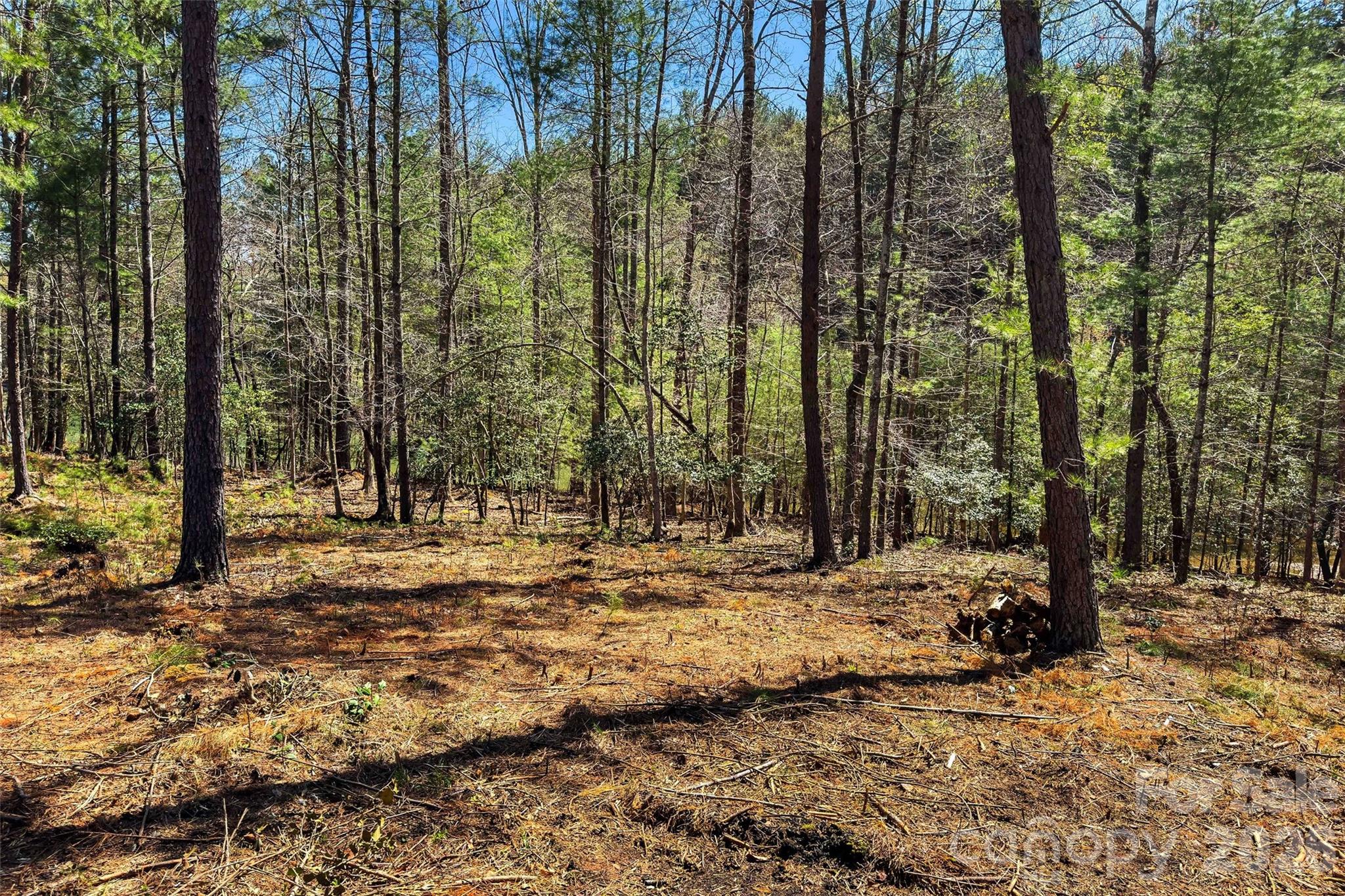 3107 Channel View Cove Morganton NC 28655