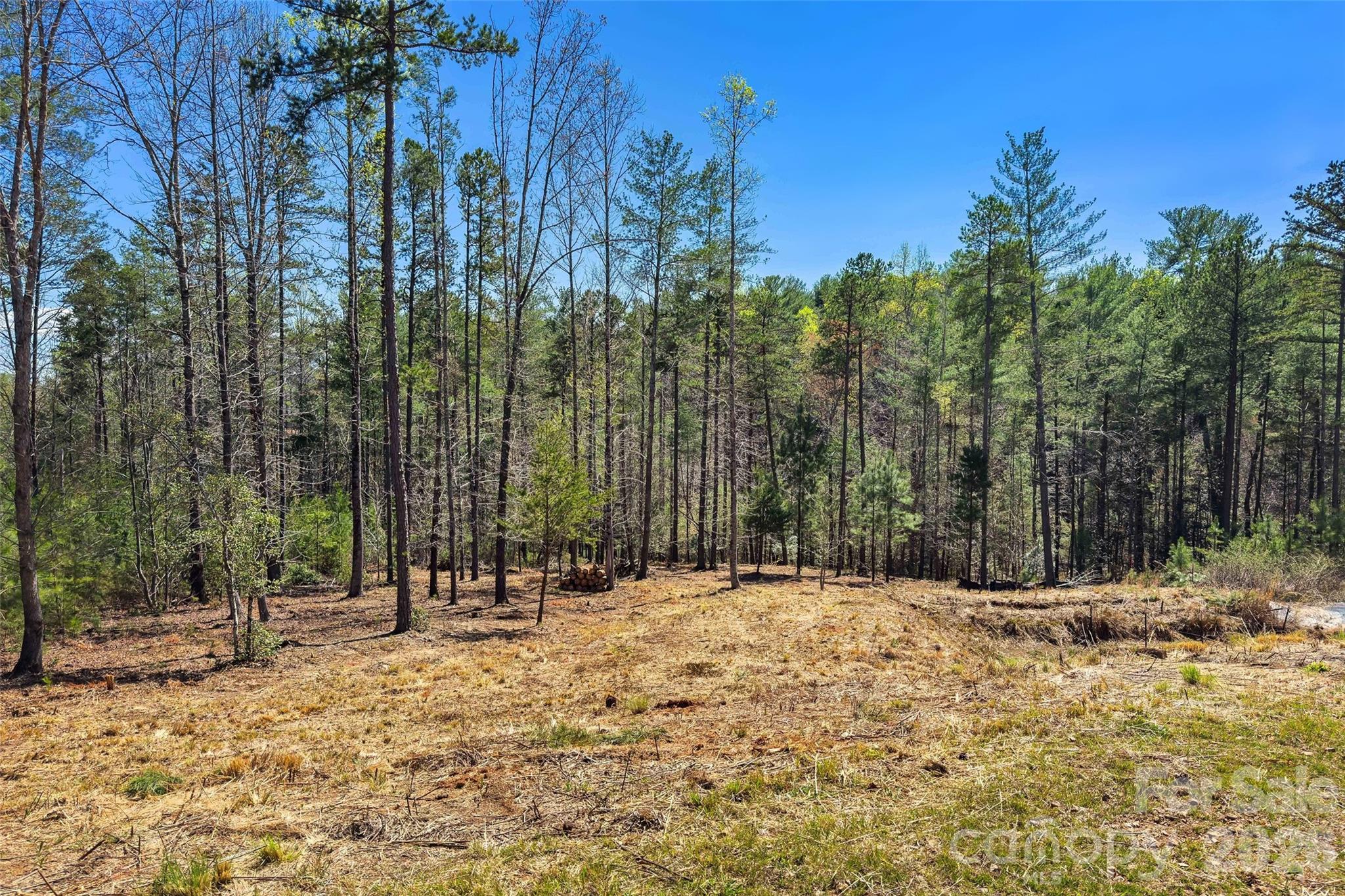 3107 Channel View Cove Morganton NC 28655