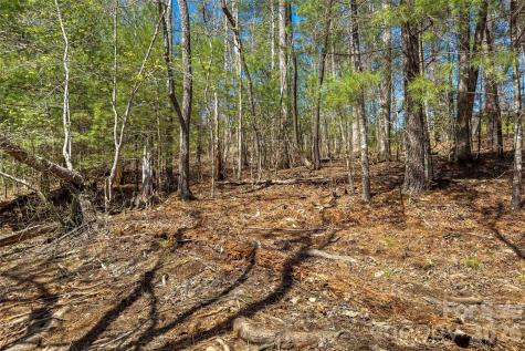 3107 Channel View Cove Morganton NC 28655