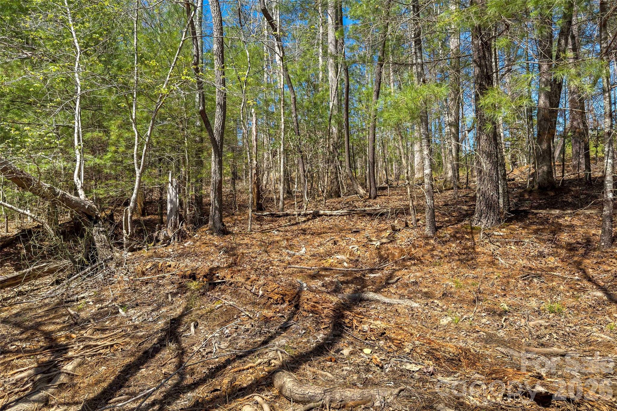3107 Channel View Cove Morganton NC 28655