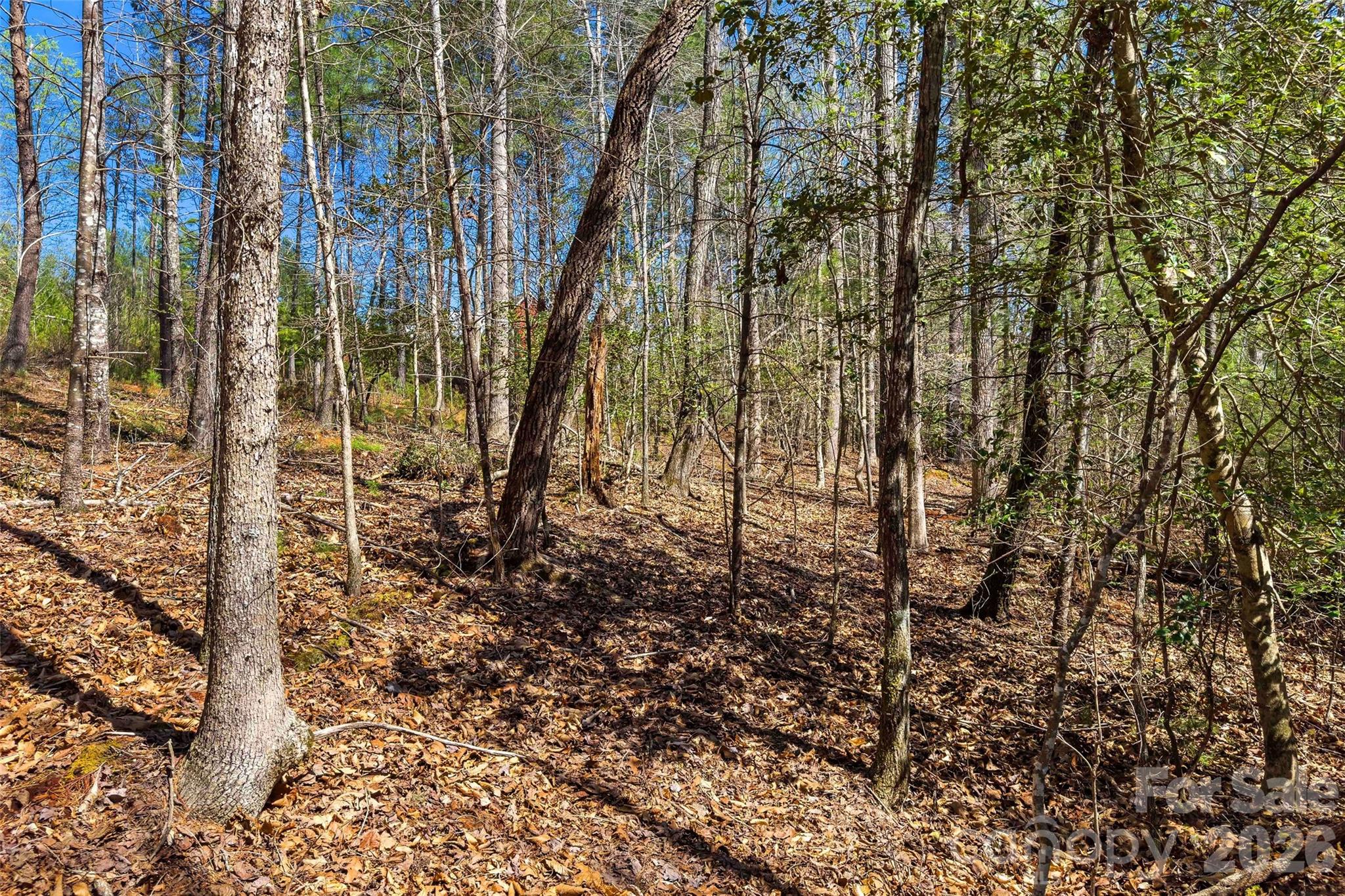 3107 Channel View Cove Morganton NC 28655