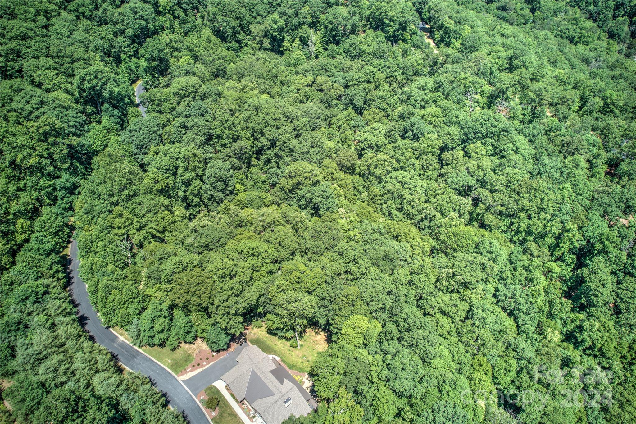 567 Shining Rock Path Horse Shoe NC 28742