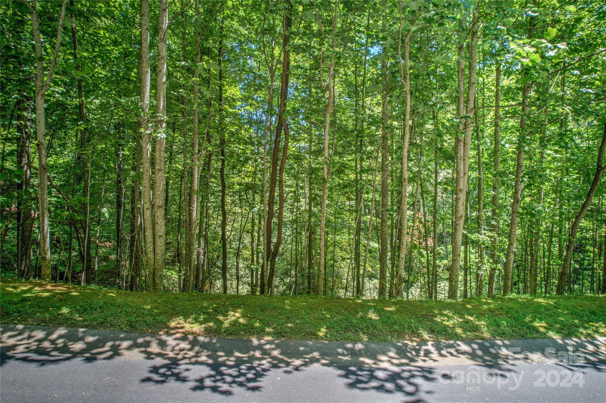 567 Shining Rock Path Horse Shoe NC 28742
