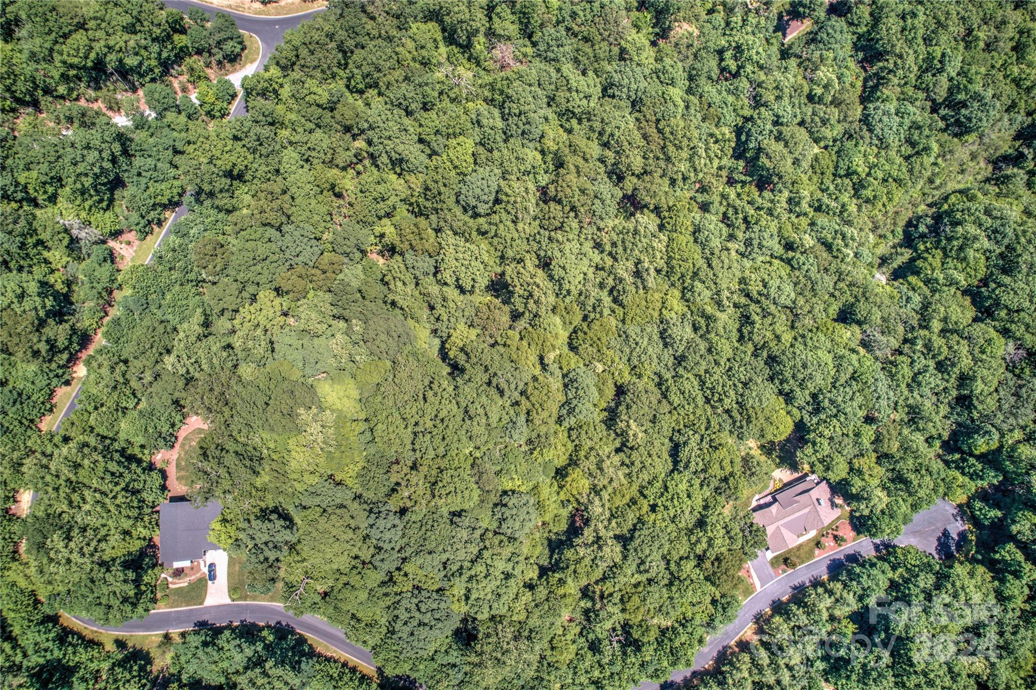 567 Shining Rock Path Horse Shoe NC 28742