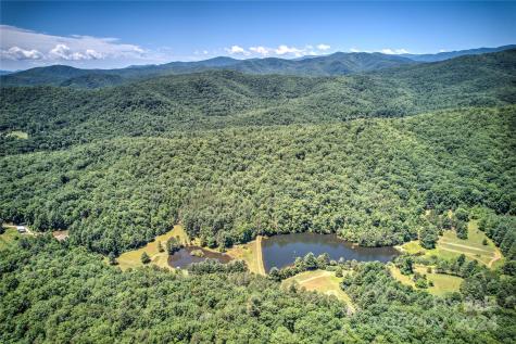 567 Shining Rock Path Horse Shoe NC 28742