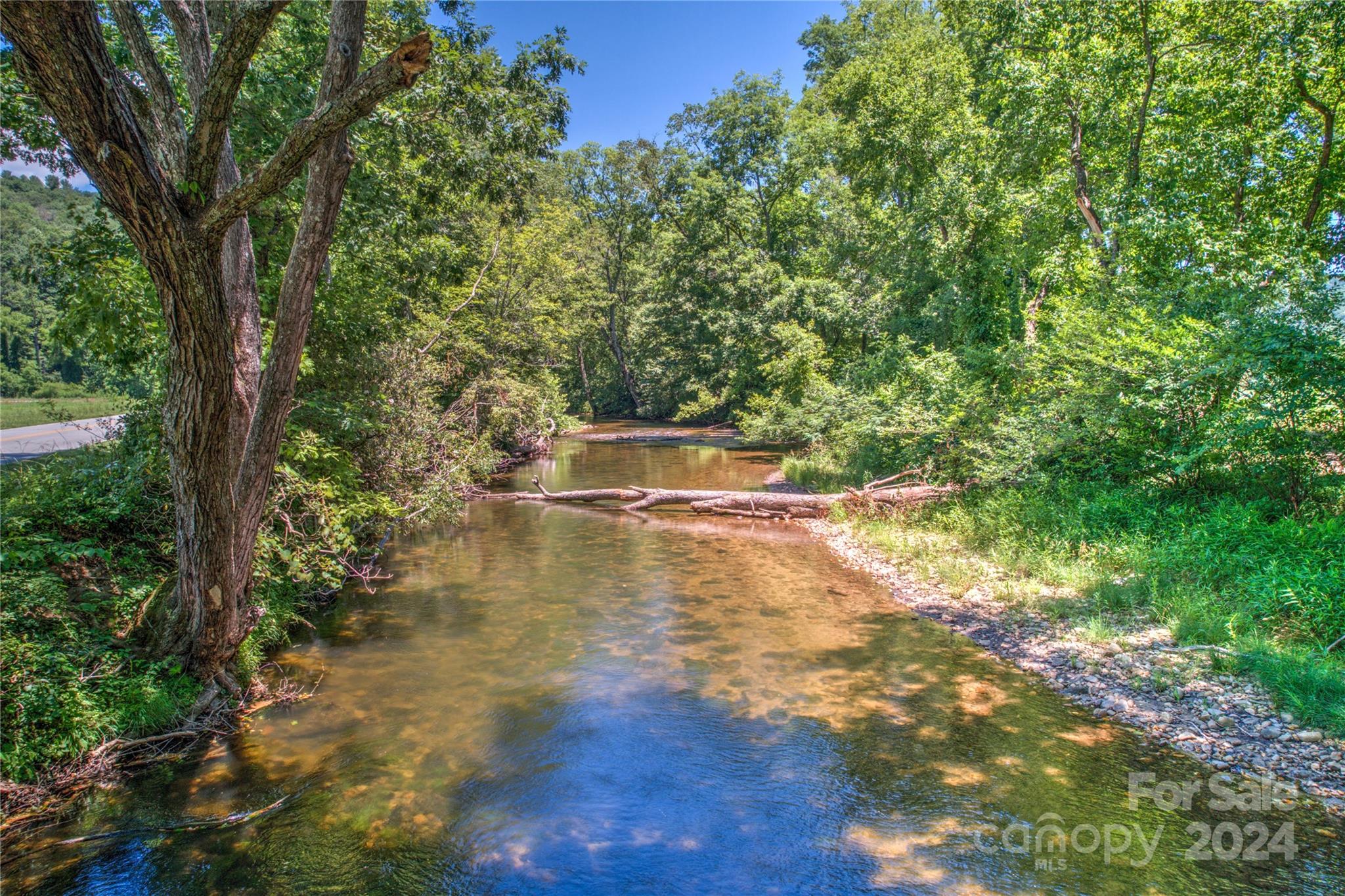 567 Shining Rock Path Horse Shoe NC 28742