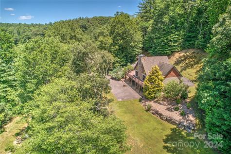 567 Shining Rock Path Horse Shoe NC 28742