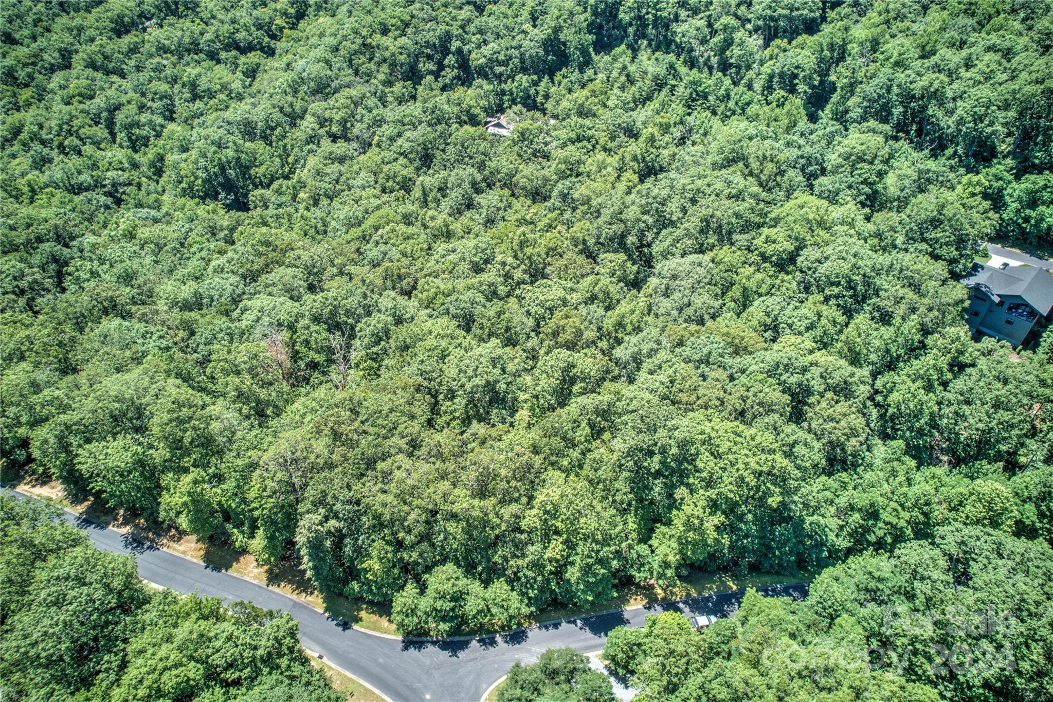 567 Shining Rock Path Horse Shoe NC 28742