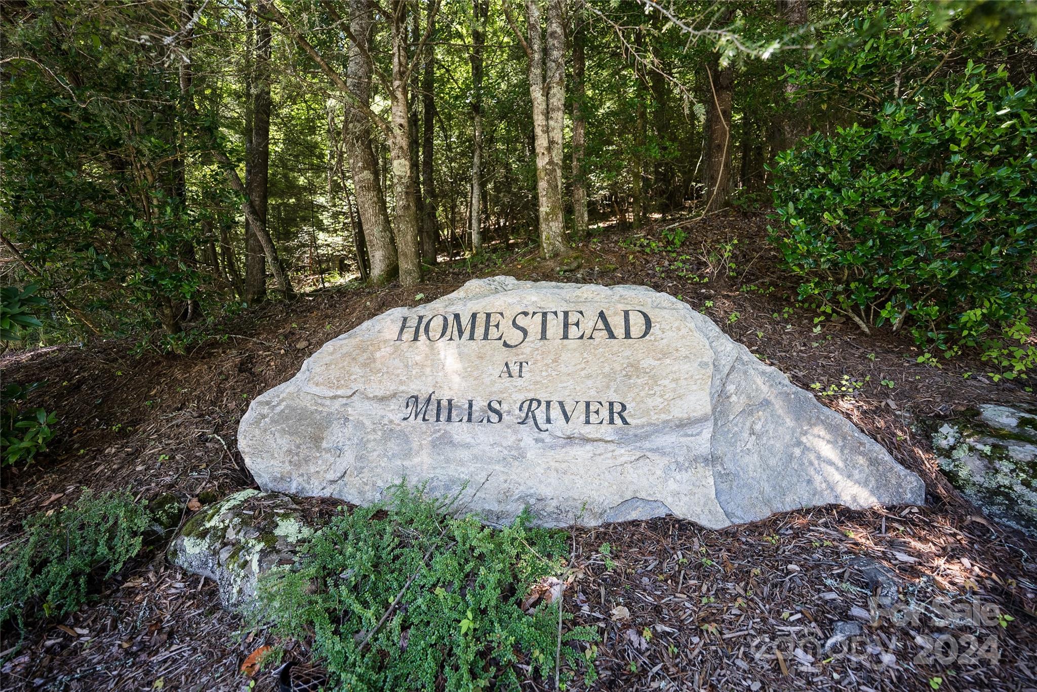 567 Shining Rock Path Horse Shoe NC 28742